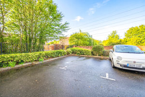 Photo 2- click for photo gallery